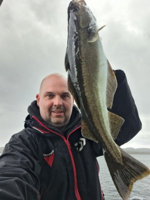 20250602_172814.jpg 20250602_172814.jpg