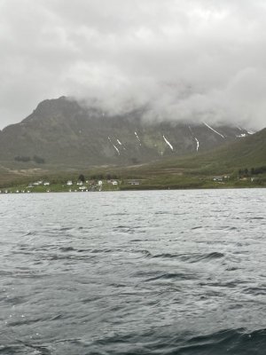 IMG_0446.jpeg IMG_0446.jpeg