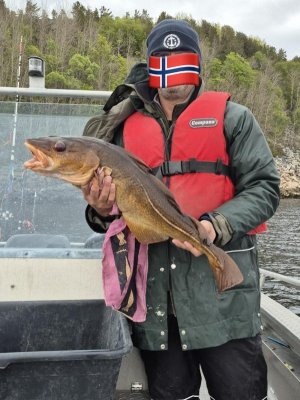 WhatsApp Image 2025-06-03 at 08.00.04 (2).jpeg