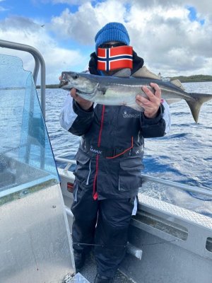 WhatsApp Image 2025-06-03 at 08.00.04 (1).jpeg