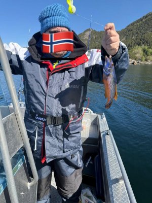 WhatsApp Image 2025-06-03 at 08.00.03.jpeg