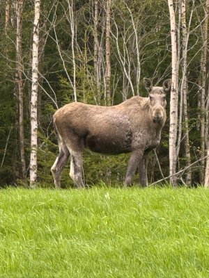 WhatsApp Image 2025-06-03 at 07.44.44.jpeg