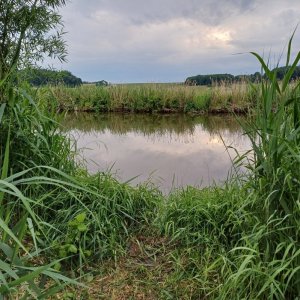 20250603_194648.jpg 20250603_194648.jpg