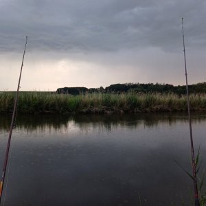 20250603_202452.jpg 20250603_202452.jpg