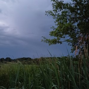 20250603_212724.jpg 20250603_212724.jpg