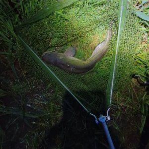 20250603_214829.jpg 20250603_214829.jpg