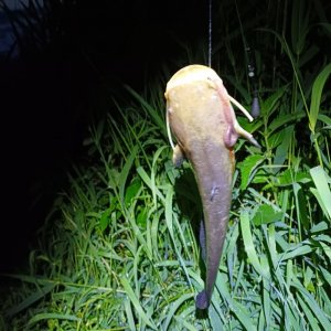 20250603_220224.jpg 20250603_220224.jpg