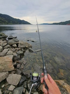 20250603_193256.jpg 20250603_193256.jpg