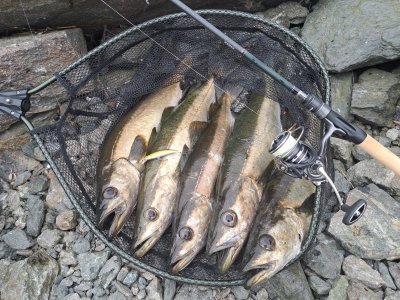 20250603_200153.jpg 20250603_200153.jpg