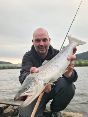 20250603_220137.jpg 20250603_220137.jpg