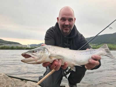 20250603_215939.jpg 20250603_215939.jpg