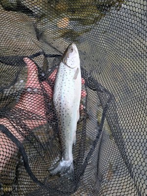 20250603_210220.jpg 20250603_210220.jpg