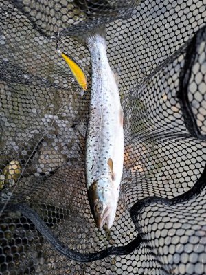 20250603_203604.jpg 20250603_203604.jpg