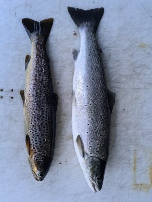 20250603_234847.jpg 20250603_234847.jpg