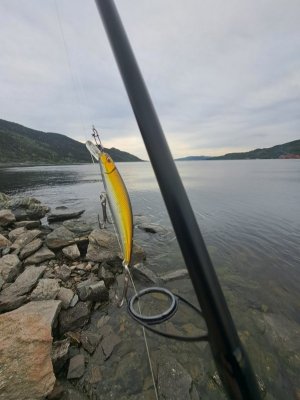 20250603_193248.jpg 20250603_193248.jpg