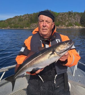 20250604_103450.jpg 20250604_103450.jpg