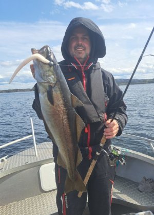 20250604_135350.jpg 20250604_135350.jpg