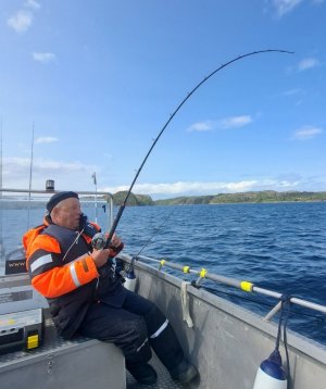 20250604_125826.jpg 20250604_125826.jpg