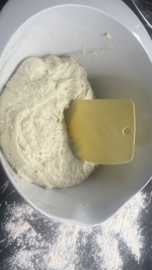 IMG_7210.jpeg IMG_7210.jpeg