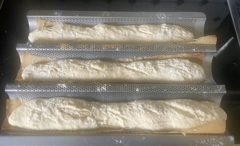 IMG_7211.jpeg IMG_7211.jpeg