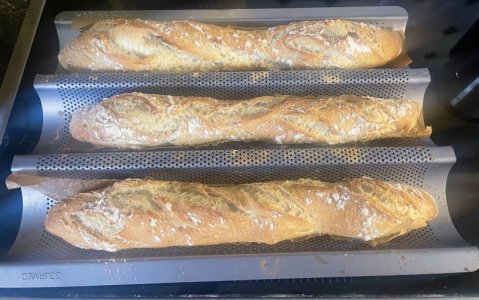 IMG_7212.jpeg IMG_7212.jpeg