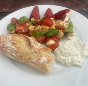 IMG_7216.jpeg IMG_7216.jpeg