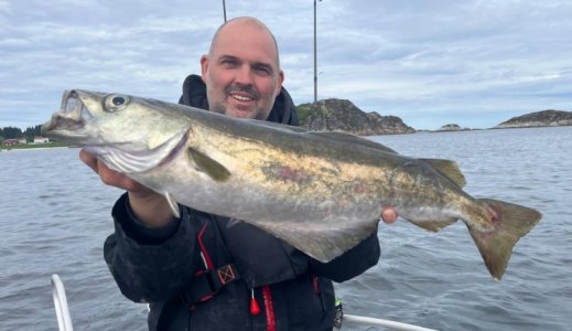 IMG-20250605-WA0019.jpg IMG-20250605-WA0019.jpg