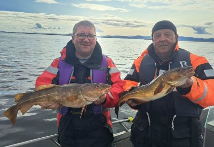 20250605_091517.jpg 20250605_091517.jpg