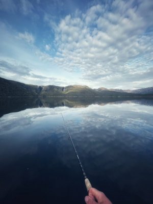 IMG_4432.jpeg