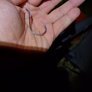 20250605_222513.jpg 20250605_222513.jpg