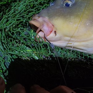 20250605_222044.jpg 20250605_222044.jpg