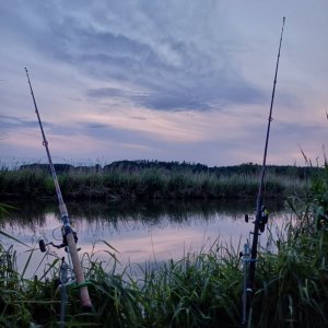 20250605_211202.jpg 20250605_211202.jpg