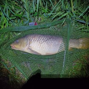 20250605_222030.jpg 20250605_222030.jpg