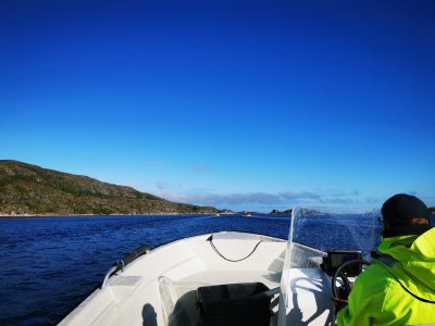IMG_20250605_073107.jpg