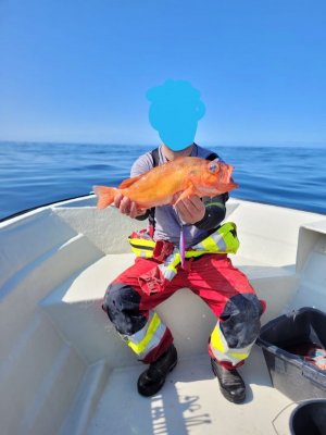 IMG_20250606_161459.jpg
