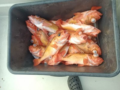 IMG_20250606_192009_267.jpg