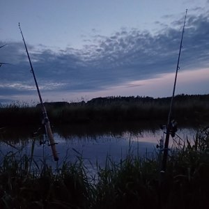 20250607_215529.jpg
