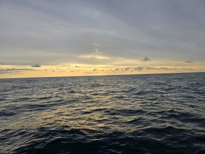 IMG-20250608-WA0001.jpg IMG-20250608-WA0001.jpg