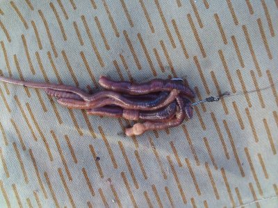 SUNP0016.JPG SUNP0016.JPG