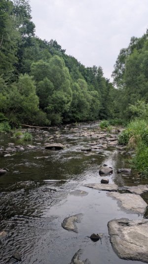 1000024745.jpg 1000024745.jpg