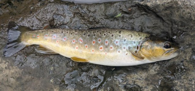 1000024757.jpg 1000024757.jpg