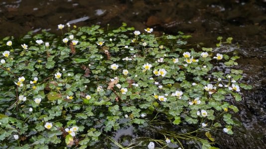 1000024749.jpg 1000024749.jpg