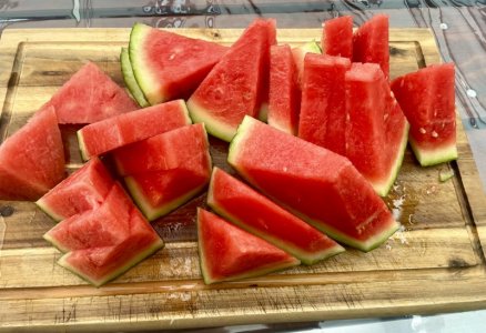 IMG_7298.jpeg IMG_7298.jpeg