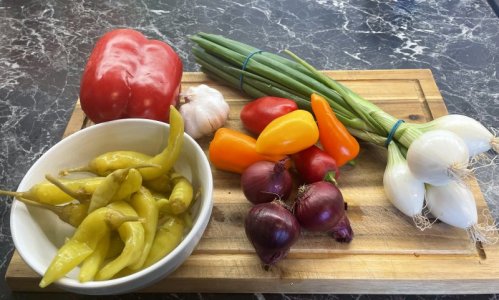 IMG_7282.jpeg IMG_7282.jpeg