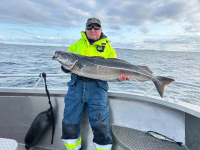 IMG-20250609-WA0006.jpg IMG-20250609-WA0006.jpg