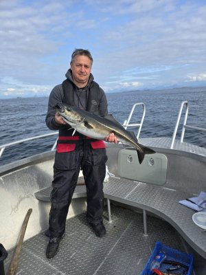 IMG-20250609-WA0002.jpg IMG-20250609-WA0002.jpg