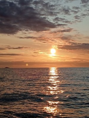 IMG_20250608_222613.jpg