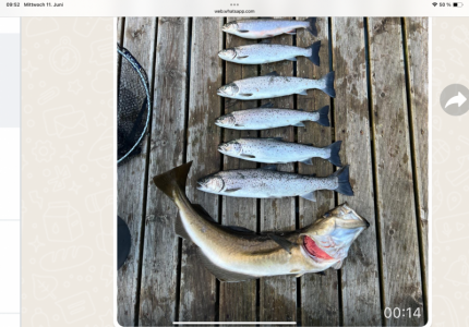 IMG_9358.png IMG_9358.png