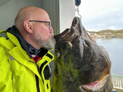 IMG_8333.jpeg IMG_8333.jpeg