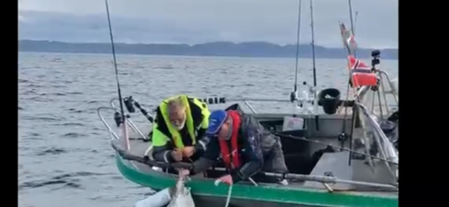 IMG_8376.png IMG_8376.png